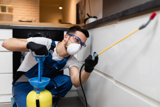  West Modesto, CA Pest Control Pros