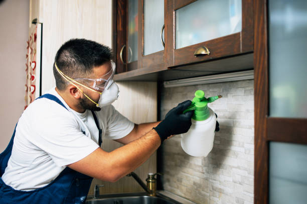 Best Best Pest Control Near Me  in West Modesto, CA