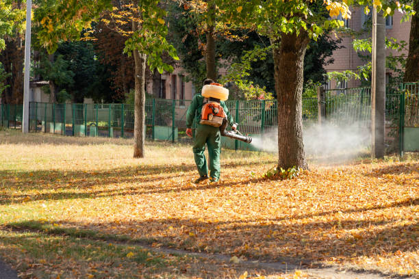 Best Bed Bug Extermination  in West Modesto, CA