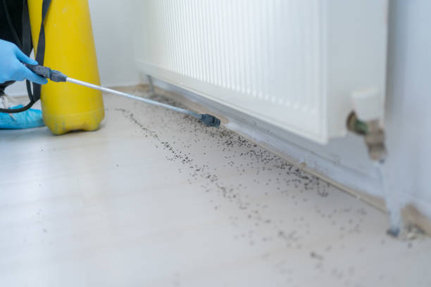 Best Best Pest Control Companies  in West Modesto, CA