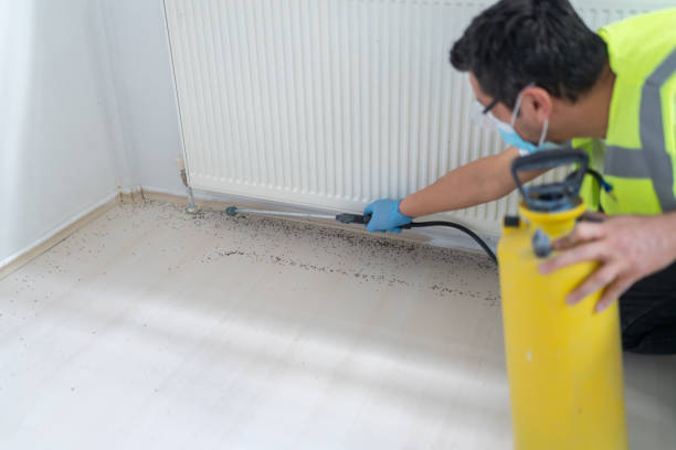 Best Exterminator Services  in West Modesto, CA