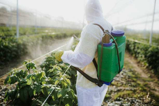 Best Mosquito Control Services  in West Modesto, CA